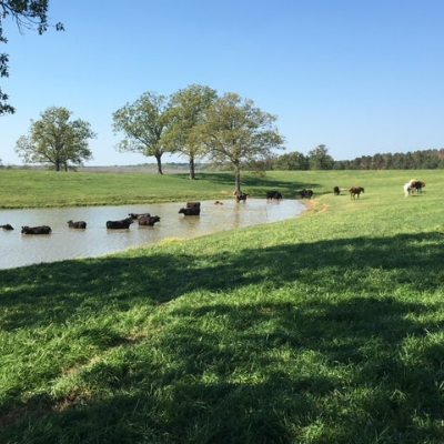 Smith Farms